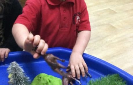 learning about farm animals learning about farm animals